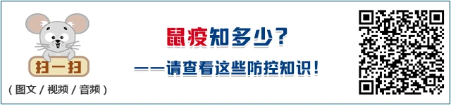 参加杯赛期间如何合理安排饮食和休息_2
